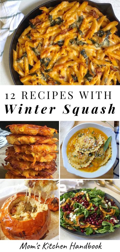 Keto Winter Squash Recipes, Winter Squash Recipes Crockpot, Healthy Winter Squash Recipes, Recipes With Winter Squash, Vegan Winter Squash Recipes, Buttercup Winter Squash Recipes, Sweet Mama Squash Recipes, Types Of Winter Squash, Sunshine Squash Recipes