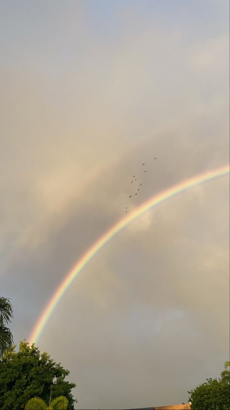 #rainbow #birds #sky Rainbow Birds, Pretty Rainbow, Rainbow Sky, Verses Wallpaper, Amazing Nature Photography, Sky Pictures, Sky Aesthetic, Amazing Nature, Beautiful Views