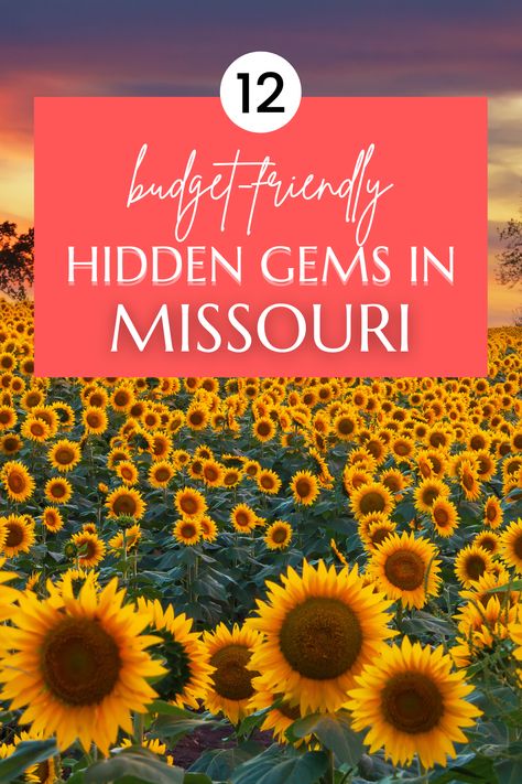 Fun hidden gems in Missouri. Bucket list places to visit in missouri. Missouri vacations. Hidden Gems In Missouri, Day Trips In Missouri, Missouri Bucket List, Things To Do In Missouri, Travel Missouri, Bucket List Places To Visit, Missouri Hiking, Missouri Vacation, What To Take Camping