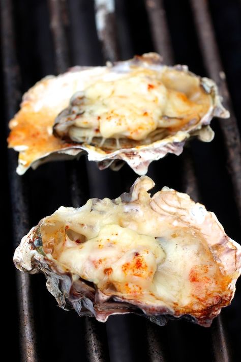 Grilled Oyster - (Parmesan, Mayo, Smoked Paprika) Oysters Recipes, Oyster Stew, Oysters Rockefeller, Oyster Roast, Resep Seafood, Grilled Oysters, Creole Cooking, Oyster Recipes, Seafood Entrees