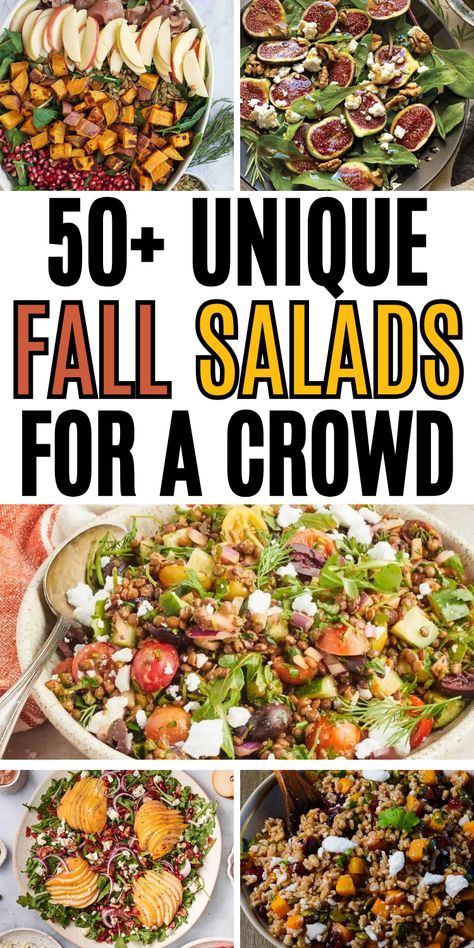 Easy fall salad recipes for a crowd, with apples, pears, and butternut squash or the best harvest salad ideas. Fall Side Salads For Parties, Fall Vegetable Salad Recipes, October Salad Recipes, Harvest Recipes Fall, Healthy Potluck Side Dishes, Fall Side Salad Recipes, Fall Potato Salad, Autumn Potluck Ideas, Easy Fall Salad Recipes