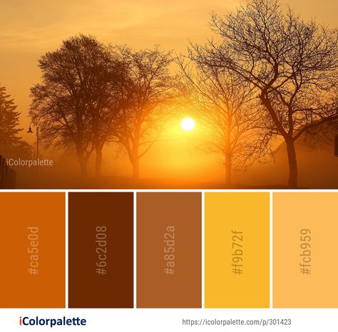 Color Palette ideas from 1478 Sunrise Images | iColorpalette Sunrise Pallet Colour Palettes, Golden Sunset Color Palette, Apollo Color Palette, Sunlight Color Palette, Ancient Color Palette, Sun Colour Palette, Sunrise Color Palette Mornings, Golden Hour Color Palette, Dawn Color Palette