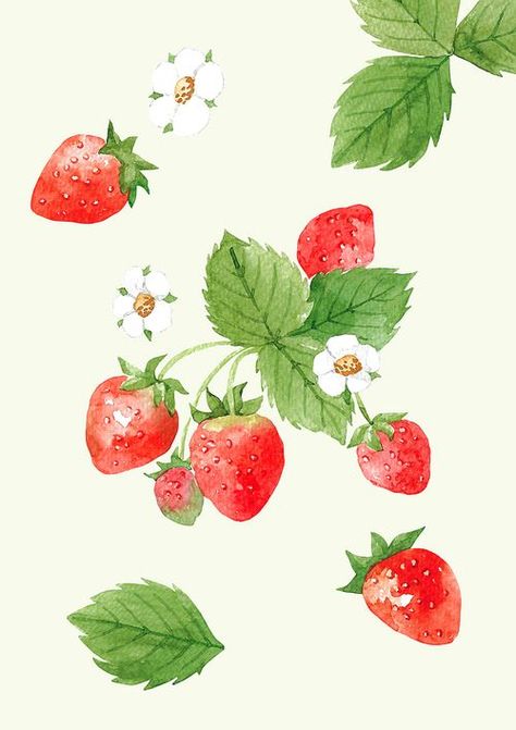 Strawberry Drawing, Vine Drawing, Strawberry Watercolor, Strawberry Plant, Kawaii Strawberry, Strawberry Art, Strawberry Leaves, Flower Mural, Strawberry Flower