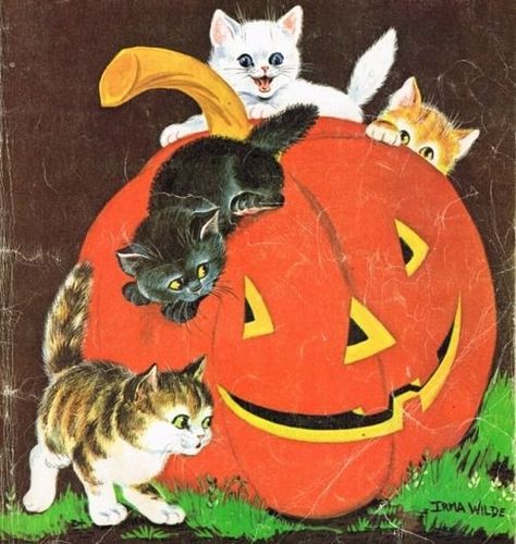 Vintage Halloween Cards, Vintage Halloween Art, Vintage Halloween Images, Halloween Time, Halloween Scene, Halloween Illustration, Halloween Inspo, Halloween Images, Halloween Pictures