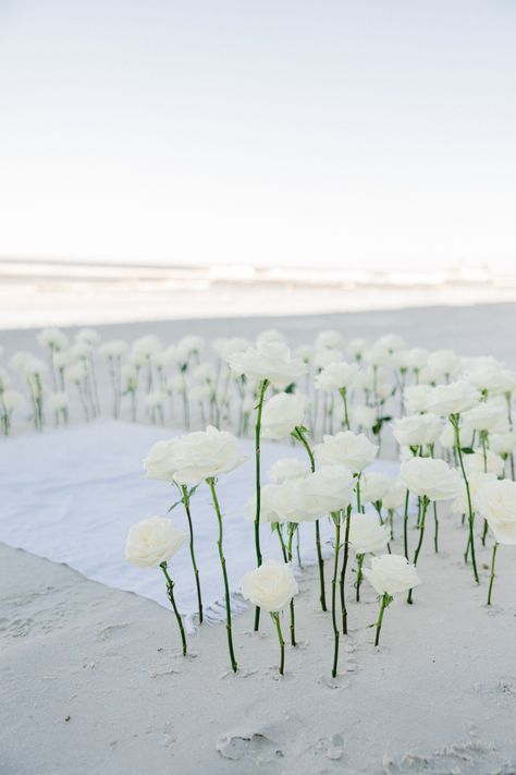 Beach Proposal Setup Simple, Simple Beach Proposal Ideas, Beach Proposal Setup, Beach Proposal Ideas, Proposal Setup, Cute Proposal Ideas, Dream Proposal, Simple Beach Wedding, Proposal Pictures