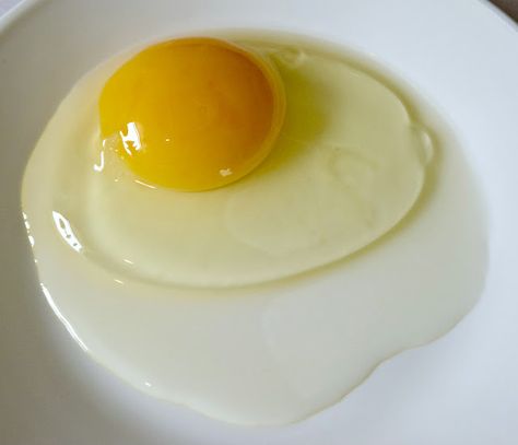 6 ways to preserve eggs Raw Eggs, Dehydrating Eggs, Preserving Eggs, Silicone Cupcake Liners, Freezing Eggs, Pickled Eggs, Egg Muffins, Egg Sandwiches, Potato