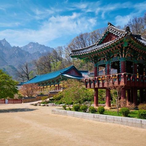 View Of Sinheungsa Temple Seoraksan National Park Seoraksan National Park, Nami Island, Sokcho, Korea Travel, Buddhist Temple, Beautiful Places In The World, Day Hike, Most Beautiful Places, Day Tours