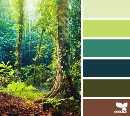 Forest tones Faerie Bedroom, Seeds Color, Fantasy Bedroom, Forest Color, Design Seeds, Color Stories, In The Forest, Background For Photography, Colour Schemes