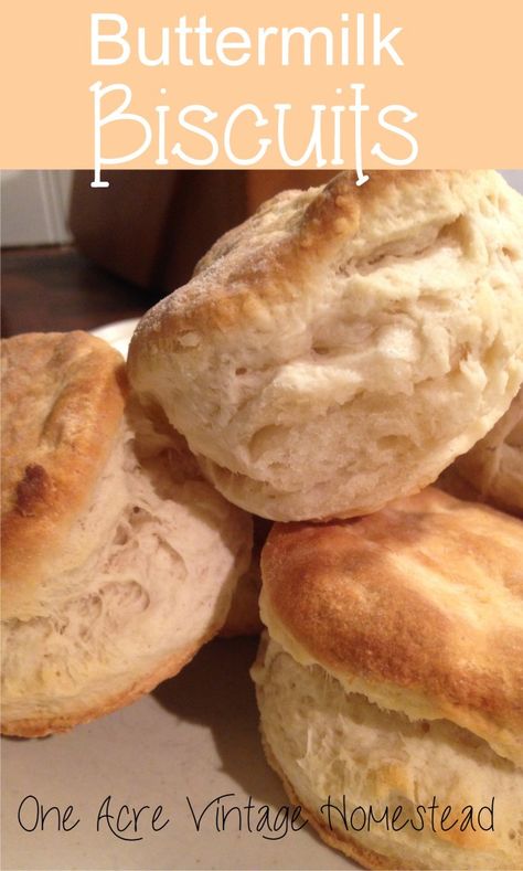 Easy buttermilk biscuits that can be put stored in the freezer for baking later. Chocolate Pound Cake Recipe, Mexican Food Tacos, Flour Tortillas Recipe, Buttermilk Biscuit Recipe, Garlic Cheddar Biscuits, Vintage Homestead, Camp Ground, Buttermilk Biscuits Recipe, Cheddar Biscuits