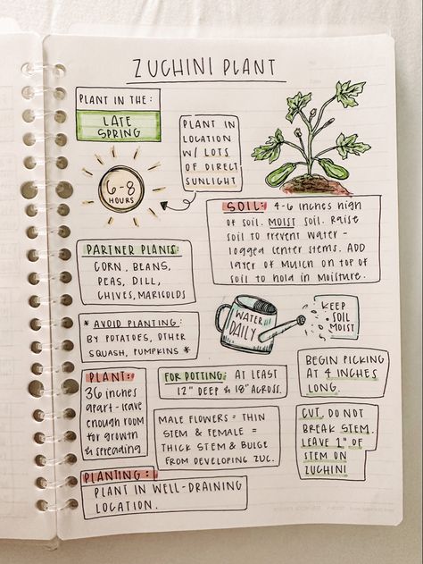 Garden Notebook Ideas, Bujo Garden Planning, Plant Notebook Ideas, Plant Notes Aesthetic, Garden Journal Ideas Inspiration, Gardening Journal Ideas, Plant Journal Ideas, Vegetable Garden Journal, Garden Journal Ideas