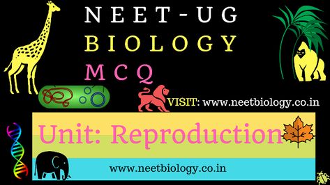 NEET Biology MCQ on Reproduction ~ NEET Biology: Medical Entrance Biology Questions and Answers Biology Questions And Answers, Neet Biology, Multiple Choice Questions, Choice Questions, Multiple Choice, Questions And Answers, Question And Answer, Free Movies, Biology