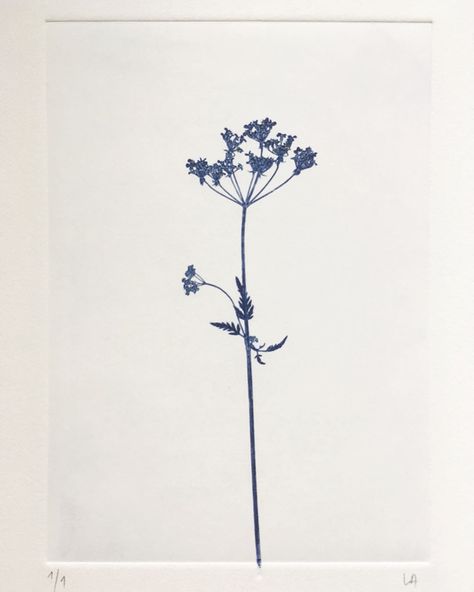 Cow Parsley Tattoo, Parsley Tattoo, Straight Tattoo, Cow Parsnip, Thistle Tattoo, Shin Tattoo, Finger Tats, Cow Parsley, Botanical Tattoo