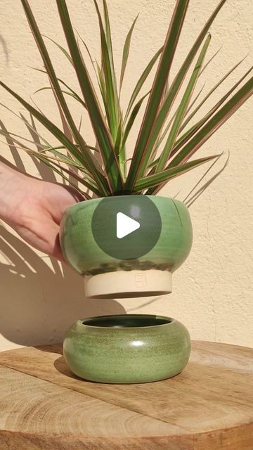 Cross Fingers, Pottery Plant Pots, Pottery Tableware, Pottery Plant Pot, Handmade Ceramic Planters, Pottery Pots, Clay Planters, Pottery Pot, Am I The Only One