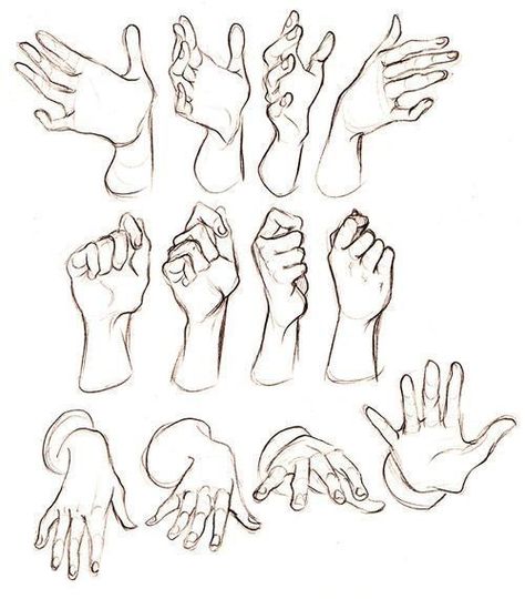 Closed Fist Reference, Hand Gripping Reference, Hand Reference Front View, Hand On Cheek Reference, Drawing Hands, Hand Gestures, Výtvarné Reference, Hand Drawing Reference, Kunst Inspiration