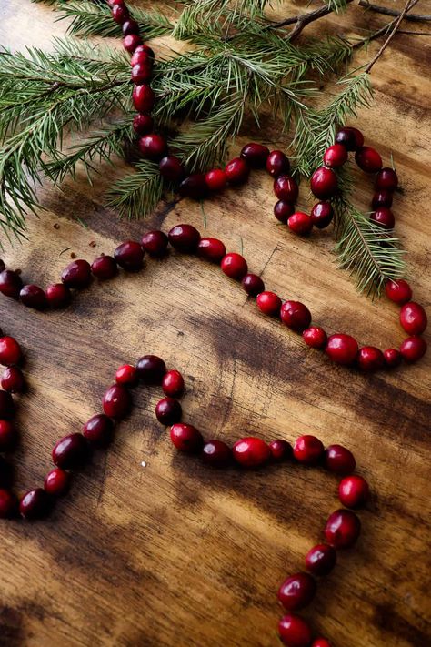 Berry Garland On Christmas Tree, Cranberry Red Christmas Decor, How To String Cranberries For Garland, Cranberry Decor Christmas, Victorian Christmas Garland, Cranberry Garland Christmas Tree, Diy Cranberry Garland, Winter Garland Ideas, Chestnut Garland