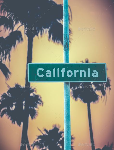 Summer Bag Essentials, La Sign, Usa Life, California Sign, California Retro, California Street, College Ruled Notebook, California Palm Trees, Money Tattoo