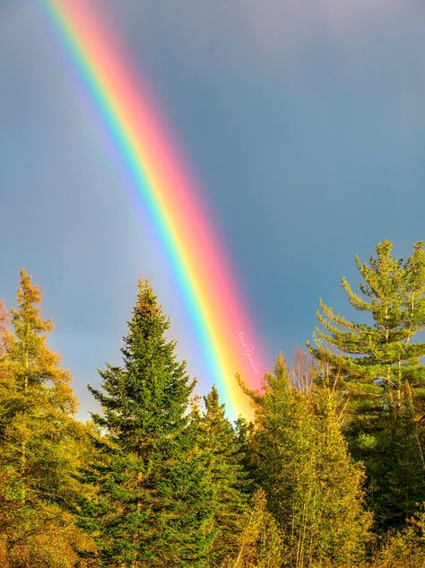 Every road trip to Michigan's Upper Peninsula always involves plenty of fun stops along the way to capture and enjoy the many splendorous scenes! And this particular trip included (many!) rainbows that graced the skies! The skies on this day were super dramatic....pouring rain one minute...sunshine the next...raining cats and dogs...sun through the clouds...repeat! And those kind of conditions are of course, the perfect recipe for rainbow sightings! As we were making our drive west I had comment Rainbow Poem, Fall Wall Print, Sky Rainbow, Rainbow Images, Michigan Photography, Rainbow Pictures, Rainbow Photography, Sun Dogs, Beautiful Scenery Photography