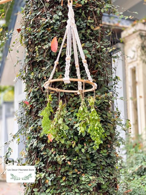 Kitchen herb gardens