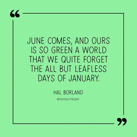 June quotes! 🐚 Which one is your favorite? 1st Of June Quote, June Vibes Quotes, Quotes About June, Quotes About June Month, June Facts, June Quotes, Which One Are You, In This Moment, Photo And Video