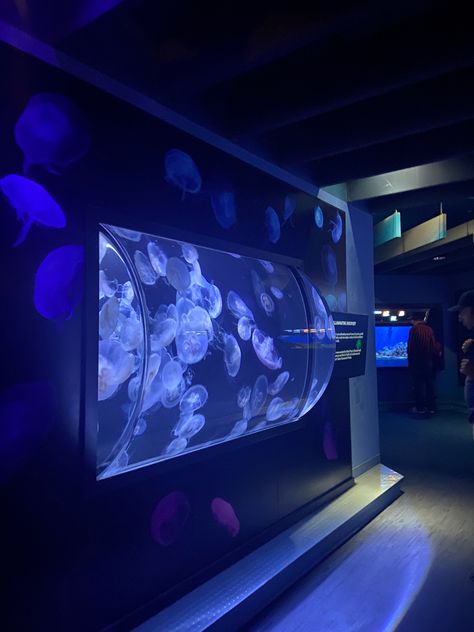 Huge Aquarium, Aquarium Aesthetic, Jellyfish Blue, Aquarium Pictures, Aquarium Architecture, Jellyfish Aquarium, Aquascape Design, World Water Day, The Aquarium