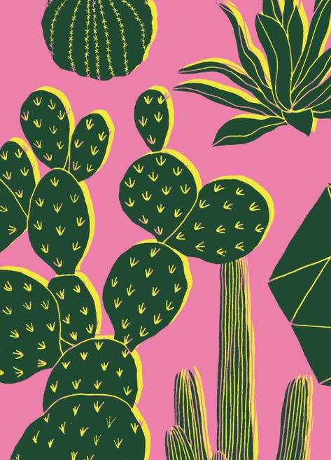 Cactus Illustration, Posca Art, Cactus Art, Cactus Plant, Arte Inspo, Cactus Print, Plant Illustration, Pattern Wallpaper, Geometric Shapes