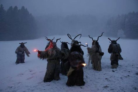 Gothic Christmas Aesthetic, Christmas Horror, Dark Christmas, Animal Costumes, Winter Festival, 다크 판타지, Arte Inspo, Winter Solstice, Christmas Aesthetic