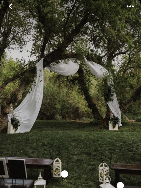 Fabric Draped Tree Wedding, Cloth Arch Wedding, Outdoor Covered Wedding, Wedding Arch Between Two Trees, Willow Tree Wedding Arch, Outdoor Wedding Drapery Ideas, Tree Drapery Wedding, Tree Alter Wedding, Draped Wedding Reception