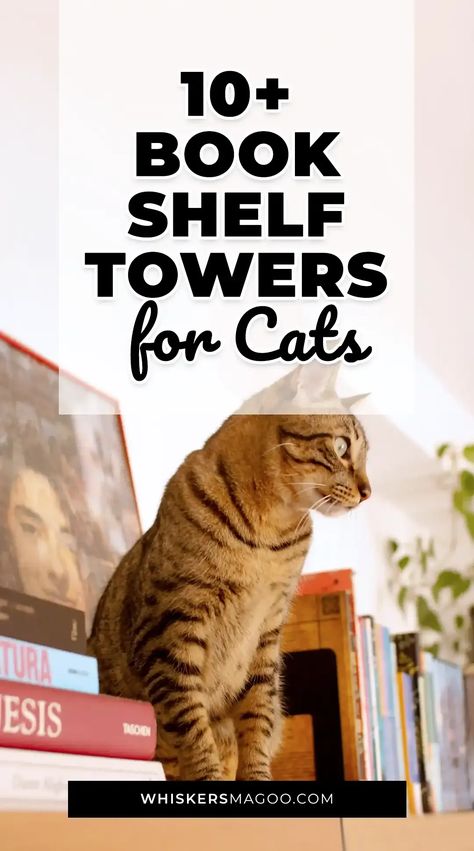 Looking for a stylish piece of cat furniture that both you and Fluffy can enjoy? Check out 12 creative bookshelf cat tower units that do just that, right here! Diy Cat Tree Bookshelf, Ladder Shelf Cat Tree, Bookshelf For Cats, Cat Friendly Bookshelves, Cat Tree Bookshelf, Stylish Cat Tree, Bookshelf Cat Tree, Cat Tower Diy, Cat Bookshelf