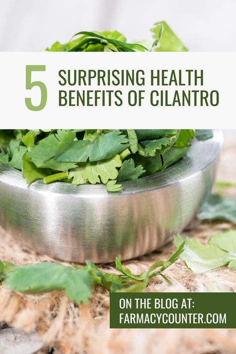 People are increasingly seeking natural ways to enhance their health, and one humble herb that stands out for its numerous benefits is cilantro. Widely used in culinary dishes for its fresh, zesty flavor, cilantro offers a host of health advantages. In this blog, we’ll explore five surprising health benefits of cilantro and share some delicious recipes from our kitchen to help you incorporate this powerful herb into your diet.

1️⃣ Nutritional Powerhouse

Cilantro is packed with essential.... Herbs And Their Health Benefits, Cilantro Herb Benefits, Cilantro Benefits Health, Benefits Of Cilantro, Cilantro Benefits, Culinary Dishes, Healthy Eating Diets, Healthy Routine, Breast Milk