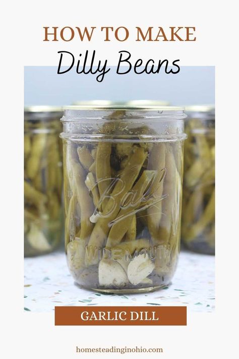 Dill Beans Canning Pickles Recipe, Canned Pickled Green Beans, Dilly Green Beans Canning Recipes, Canned Dilly Beans, Dill Pickled Green Beans, Canned Dilly Beans Recipe, Dill Beans Recipe, Dill Green Beans Canned, Dilled Green Beans