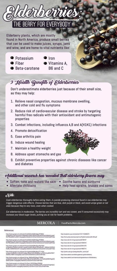 Garden Pantry, Elderflower Recipes, Elderberry Benefits, Elderberry Plant, Elderberry Tea, Benefits Of Berries, Elderberry Recipes, Herbal Tea Benefits, Herbal Remedies Recipes