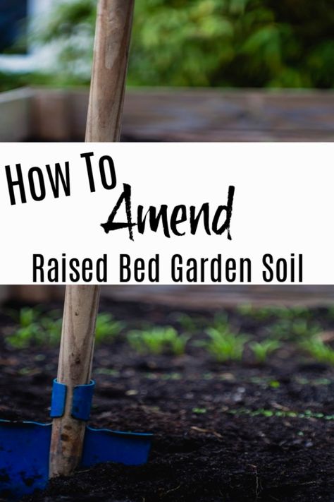 Garden Bed Soil, Leafy Garden, Raised Garden Bed Soil, Vegetable Beds Raised, Vegetable Garden Raised Beds, Building A Raised Garden, Garden Growing, Garden Plots, Homestead Gardens