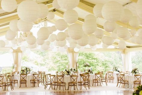 Backyard Wedding Photography, White Paper Lanterns, Paper Lanterns Wedding, Wedding Ceiling, Paper Lantern Lights, Chinese Paper Lanterns, Wedding Backyard Reception, Backyard Reception, Lantern Ideas