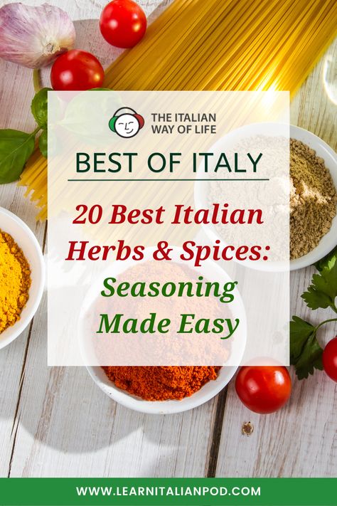 Discover the magic of Italian cuisine with our list of 20 must-know Italian herbs and spices! Transform ordinary meals into culinary masterpieces with the perfect blend of fragrant basil, robust rosemary, and more. Elevate your cooking with our comprehensive Italian spices list. Ready to explore? #ItalianCuisine #HerbsAndSpices #ItalianHerbs #ItalianSpicesList #ItalianSpices Spices List, Summer Savory, List Of Spices, Meat Preparation, Italian Herbs, Italian Spices, Roasted Meat, Spices And Herbs, Seasoning Blend