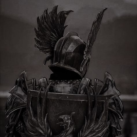 Dark Warrior Aesthetic Men, Knight Pfp Medieval, Dark Fantasy Knight Art, Medieval Knight Aesthetic, Dragon Knight Art, Aesthetic Knight, Dark Knight Aesthetic, Paladin Aesthetic, Dark Fantasy Knight