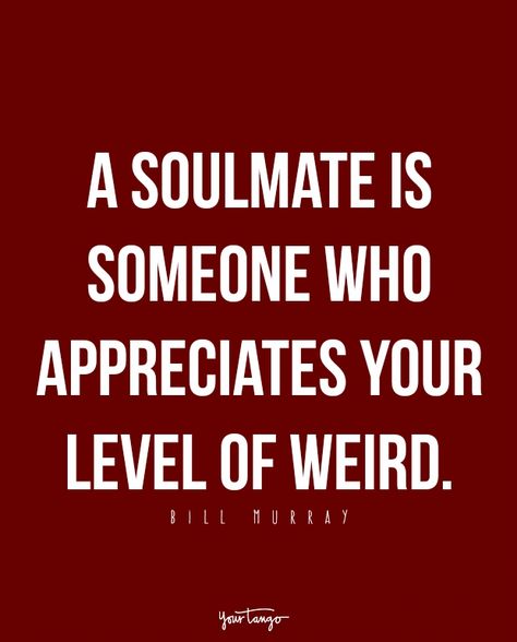 “A soulmate is someone who appreciates your level of weird.” - Bill Murray Weird Love Quotes, Weirdo Quotes, Guy Bestie, Love Quotes Soulmate, Writing Vows, A Soulmate, Famous Love Quotes, Soulmate Quotes, Bill Murray