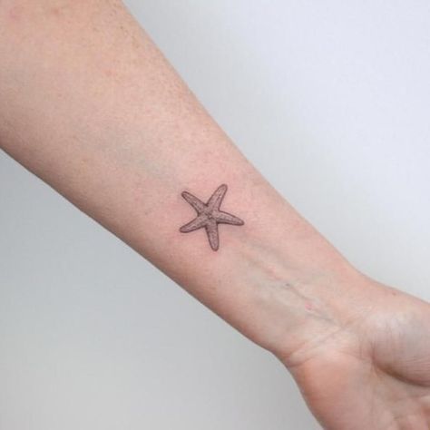 Starfish Tattoo Small, Small Starfish Tattoo, Star Fish Tattoo, Star Tats, Tattoo Etoile, Sand Dollar Tattoo, Sister Tats, Small Beach Tattoos, Beachy Tattoos