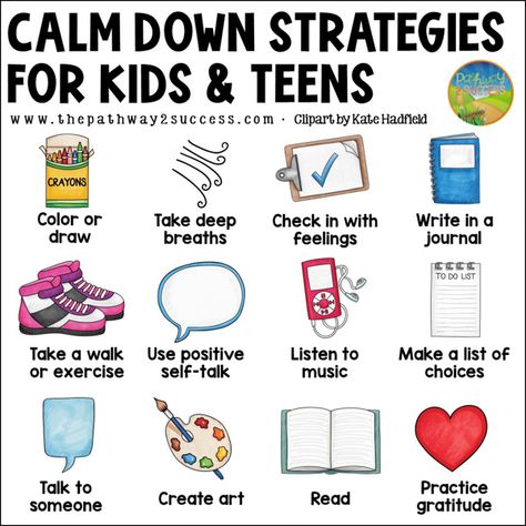 Self Regulation Strategies, Escape Room Challenge, Healthy Coping Skills, Calming Strategies, Executive Functioning Skills, Challenging Behaviors, Aba Therapy, Calming Activities, Mindfulness For Kids