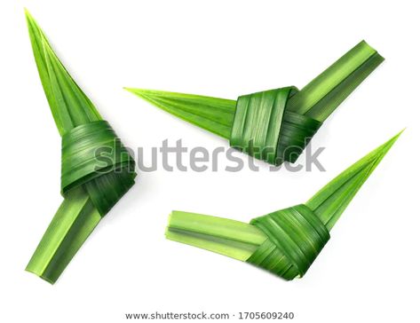 Pandan Leaf Illustration, Pandan Leaf, Daun Pandan, Leaf Illustration, Leaf Drawing, Cafe Design, Art Project, 3d Objects, Koala