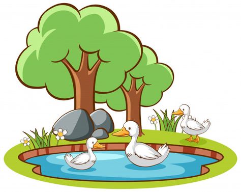 Ducks In Pond, Pond Illustration, Pond Drawing, Happy Holi Picture, Nature Character, Holi Pictures, Girl Reading Book, Duck Cartoon, Cartoon Butterfly