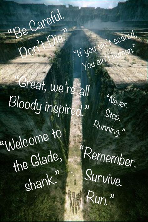 Newt Quotes Maze Runner, Maze Runner Quotes Wallpaper, Maze Runner Book Quotes, Newt Maze Runner Quotes, Tmr Quotes, Newt Quotes, The Maze Runner Quotes, Maze Runner Book, Maze Runner Quotes