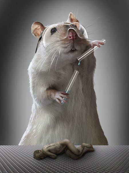 Okay, this is a cute scientist mouse AND has a message! Win win. Animal Cruelty Art, Stop Animal Testing, Animal Activism, A Rat, Stop Animal Cruelty, Animal Protection, Pet Rats, Pictures Of The Week, Famous Photographers