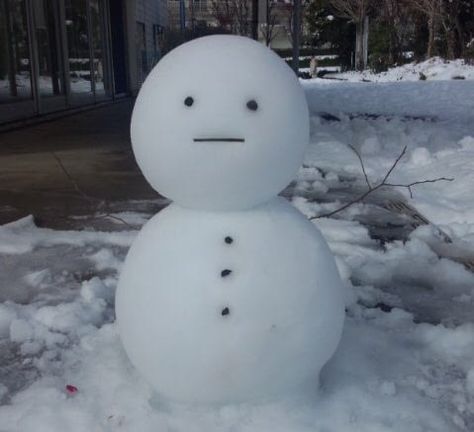 Heavy Snowfall, Funny Snowman, Swag Pics, Snow Fun, Winter Photos, Winter Scenery, Good Buddy, Snowy Day, All Things Cute