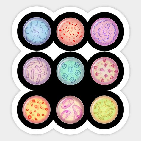 Bacteria Culture, Medical Stickers, Science Stickers, Petri Dish, Scrapbook Stickers Printable, School Stickers, Microbiology, Science Art, Cool Stickers