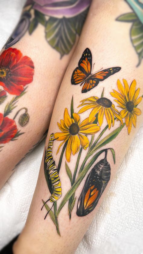 Life Cycle Tattoo, Cycle Tattoo, Monarch Tattoo, Monarch Butterfly Tattoo, Arm Tats, Poppies Tattoo, Human Canvas, Botanical Tattoo, Tattoo Needles