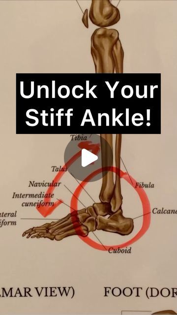 Dr. Michael Giardina, PT, DPT, OCS, FAAOMPT | 🚨UNLOCK YOUR STIFF ANKLE🚨  🟩 Do you ever get a pinch or pop in the front of your ankle? Does it feel stiff or painful? This can be felt... | Instagram Ankle Pain, Healing, Felt, Feelings, Instagram