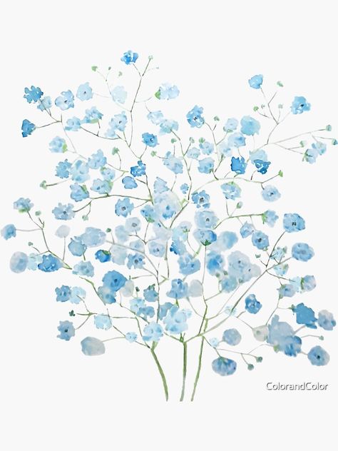 "light blue Baby Breath Bouquet gypsophila watercolor painting " Sticker by ColorandColor | Redbubble Light Blue Aesthetic Painting, Light Blue Art Painting, Gypsophila Painting, Blue Water Painting, Light Blue Painting Aesthetic, Baby's Breath Painting, Baby Blue Wall Art, Baby Blue Flowers Wallpaper, Baby Breath Drawing