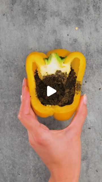 5-Minute Green on Instagram: "Smart gardening hacks for beginners!

#5mingreen #smartgardening #gardeningtips #growyouron" Small Garden Diy Ideas, Top Garden Design, Simple Garden Ideas, Smart Gardening, Garden Diy Hacks, Easy Gardening Hacks, Garden Ideas Diy Cheap, Outdoor Design Ideas, Garden Ideas For Small Spaces