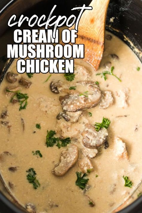 Dinners With Cream Of Mushroom, Cream Mushroom Chicken Crockpot, Chicken And Mushroom Gravy Recipes, Crockpot Mushroom Chicken And Rice, Creamy Mushroom Crockpot Chicken, Crockpot Chicken Cream Of Mushroom Soup, Slow Cooker Chicken With Cream Of Mushroom Soup, Chicken Mushroom Rice Crockpot, Delish Crockpot Recipes