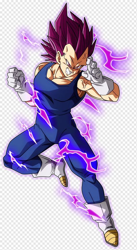 Vegeta And Trunks, Gohan And Goten, Ultra Ego, Super Vegeta, Super Saiyan Vegeta, Goku And Gohan, Super Saiyan God, Super Saiyan Blue, Dragon Ball Super Goku